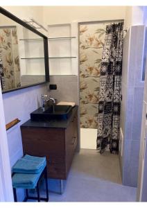 een badkamer met een wastafel en een douche bij Portale dei Soli 2 in Rolo