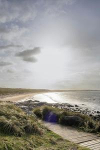 a beach with the ocean and a wooden path at Carnglas, Gweedore, County Donegal in Donegal