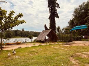 Chandrika Y Resort في Pallegama New Town: مجموعة من البط تمشي في العشب بجوار منزل