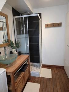 Koupelna v ubytování La Valentine - Appartement proche Strasbourg - Wifi et Climatisation