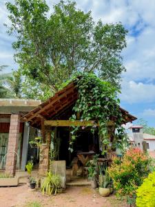 Una pequeña casa con una planta verde creciendo en ella. en Nature Transit villa, 