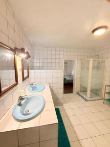 a bathroom with two sinks and a shower at La Villa des Palmiers Bleus - Piscine & Jardin in La Valère +61 photos