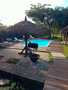a pool with a straw umbrella and a table and a chair at La Villa des Palmiers Bleus - Piscine & Jardin in La Valère
