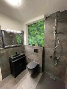 a bathroom with a toilet and a shower and a sink at Apartment in Seevetal in Seevetal