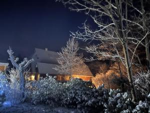 Fotografie z fotogalerie ubytování Friesenwald v destinaci Zetel