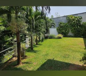 a garden with palm trees and a building at Villa De'YuLee in Negombo +4 photos