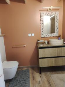 a bathroom with a sink and a mirror at Location en bordure du Trieux in Plourivo +19 photos