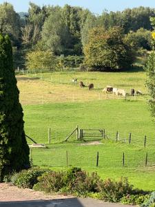Фотография из галереи Sfeervolle kamer aan de Dorpsdijk met Gratis Ontbijt в городе Lobith +9 фотографий