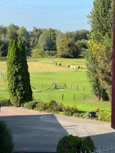 a view of a pasture with horses in a field at Sfeervolle kamer aan de Dorpsdijk met Gratis Ontbijt in Lobith +9 photos