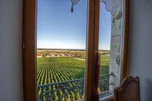 Fotografie z fotogalerie ubytování Gites Chateau Comblanchien v destinaci Comblanchien