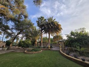 Un parque con palmeras y un patio con césped. en Vogelsang Guesthouse, en Omaruru