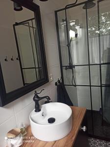 a bathroom with a white sink and a shower at Apartament w Starej Szkole in Zagórze Śląskie