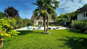 La Girouardière في لا فليش: نخلة في ساحة فيها كراسي ومسبح