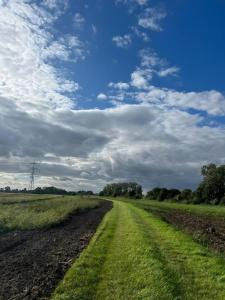 a dirt road in the middle of a field at Apartament in Bürstadt