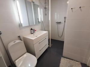 un bagno con wc, lavandino e doccia di Villa Aurora a Syöte Altre 14 foto