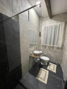 a bathroom with a white toilet and a sink at Bellevue Beam House in Covasna