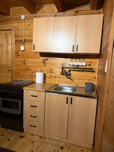 a kitchen with a sink and a stove at Pine House - Holiday Home in Banja Luka