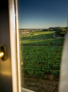 Zahrada ubytování Gites Chateau Comblanchien