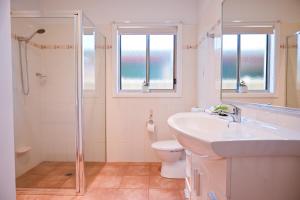 a bathroom with a shower and a sink and a toilet at Griffith Prestige Apartment in Griffith