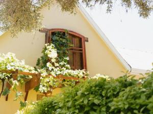 Сад в Avondrust Guest House