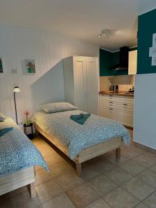 Studio Apartma Olive, Nova Gorica, Slovenia في نوفا جوريكا: غرفة نوم بسريرين ومطبخ