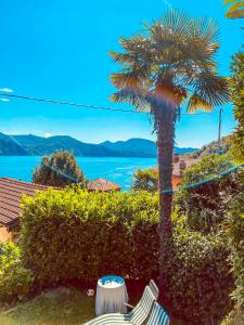 Φυσικό τοπίο κοντά σε αυτή η παραθεριστική κατοικία +30 φωτογραφίες