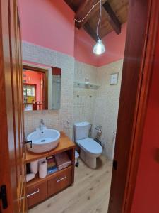a bathroom with a sink and a toilet at Casa Laudina y Armando in Brañella +28 photos