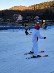 Hosté ubytování LESNA CHATA - jestesmy 15km od Energylandii, domek wolnostojacy, Beskid Maly