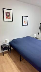 Cosy 5 - Belfort centre في بلفور: سرير ازرق في غرفة مع صورتين على الحائط