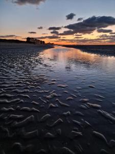 Photo de la galerie de l'établissement Sea views in Bray-Dunes, à Bray-Dunes