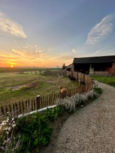 a fence in front of a barn with the sunset in the background at Tiny House Alpakablick - inklusive gratis Alpaka Meet & Greet in Borken