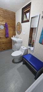 Ένα μπάνιο στο Cabaña en Pumalal