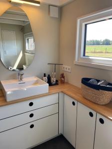 a bathroom with a sink and a mirror at Tiny House Alpakablick - inklusive gratis Alpaka Meet & Greet in Borken