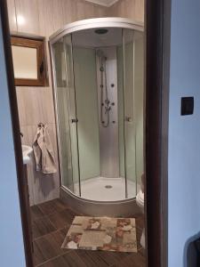 a bathroom with a shower and a sink at Baile Figa-Terasa Spa Cazare in Agrişu de Sus