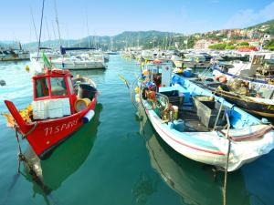 Φυσικό τοπίο κοντά σε αυτή η παραθεριστική κατοικία +33 φωτογραφίες