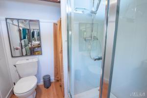 a bathroom with a toilet and a glass shower at Roulotte avec bain nordique privatif chauffé, Séjour calme et bien-être in Fichous-Riumayou +19 photos