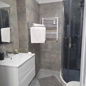 Słoneczny Apartament Panorama 5 7 z Widokiem na Jezioro i Góry في بولانكسيك: حمام مع حوض غسيل أبيض ودش +15 صورة