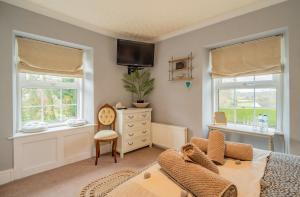 a bedroom with a bed and a desk and two windows at YR HEN FICERDY in Aberystwyth