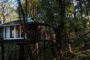 Κήπος έξω από το Lenzila Retreat