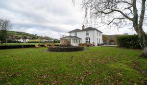 a white house with a tree in the yard at YR HEN FICERDY in Aberystwyth