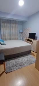 奥赫里德Ohrid Demarko Apartment的带床和书桌的卧室