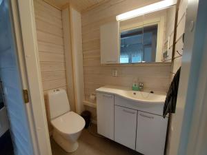 un bagno con un water, un lavandino e uno specchio di Sunski a Syöte Altre 29 foto