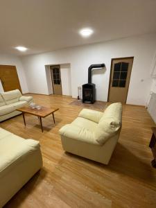 een woonkamer met twee banken en een open haard bij Ubytovanie u Grófa in Turany