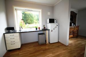 Η κουζίνα ή μικρή κουζίνα στο Panorama by the fjord - Stryn +19 φωτογραφίες