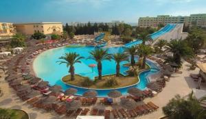 Soviva的俯瞰棕榈树环绕的大型游泳池