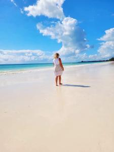 Gallery image of Sipano Beach Lodge Kiwengwa in Kiwengwa