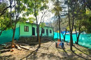 a green house in the middle of some trees at Ivan homestay in Kulu