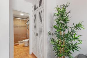 bagno con servizi igienici e pianta di Vv Caracola a Puerto de Mogán Altre 22 foto