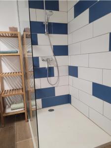 a bathroom with a shower with blue and white tiles at la maison du grand mas in Mouret +7 photos