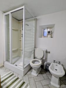 a bathroom with a shower and a toilet and a sink at Casa colore intera casa nel borgo antico in Ossuccio +17 photos